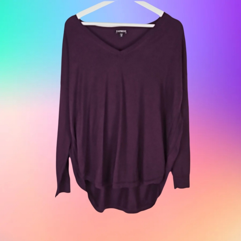 Express Plum Purple V-Neck Sweater, Size M